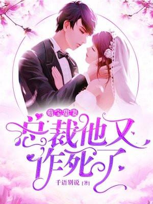 总裁难招架