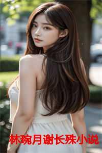 谢洐林婉清