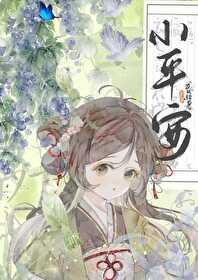 赵平安齐天娇正版免费阅读